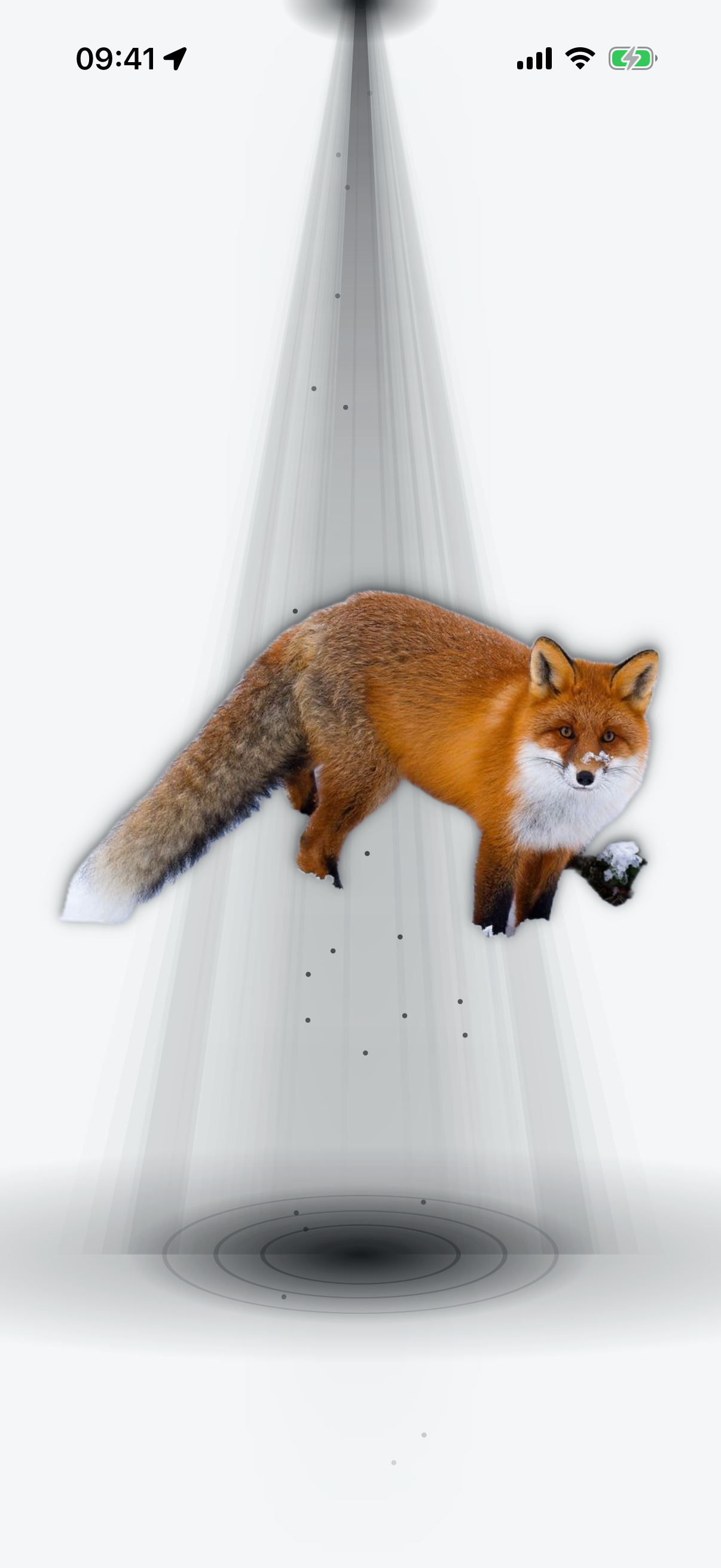 A red fox mid-abduction, lifted in the ink beam with the landing pool burning beneath it