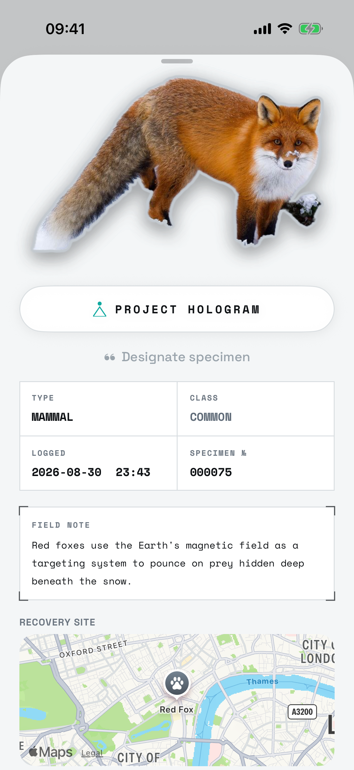 The Red Fox's specimen record: the cut-out at the top, the PROJECT HOLOGRAM control beneath it, then type, class, date and serial number, the field note and the recovery site