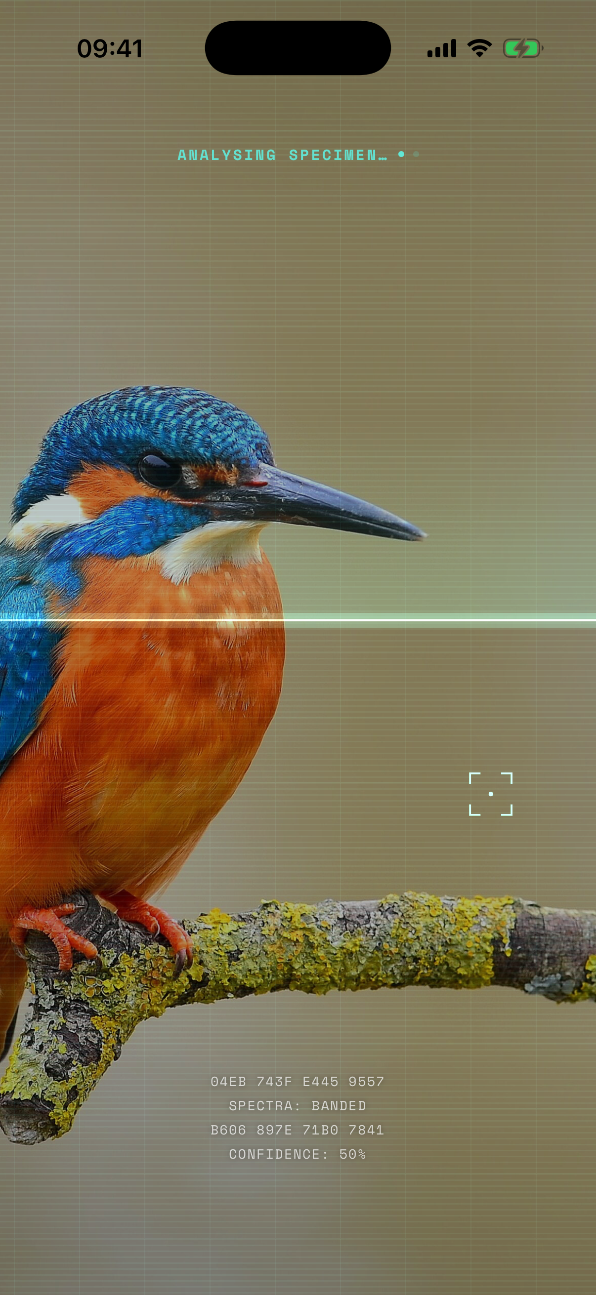 ANALYSING SPECIMEN — the instrument sweeping a photographed kingfisher, morphology parsing and a confidence readout below