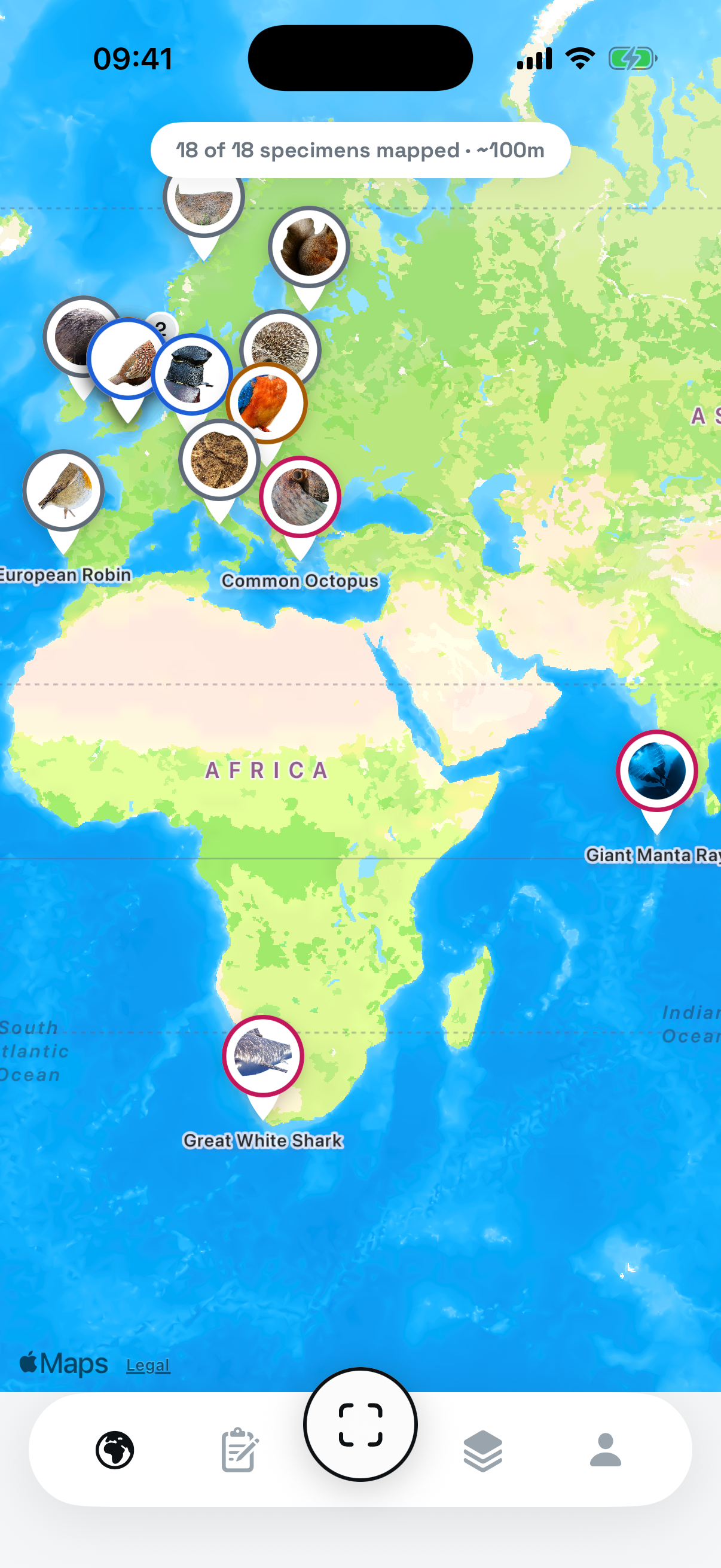 The sector map: cut-out animal markers standing where each specimen was logged, ringed in their classification colours